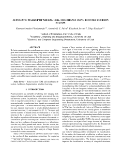 Automatic Markup of Neural Cell Membranes using Boosted
