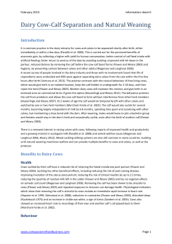 Dairy Cow-Calf Separation and Natural Weaning