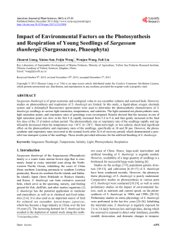Impact of Environmental Factors on the Photosynthesis and