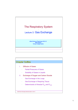 3_ Gas Exchange