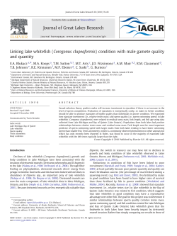 Linking lake whitefish (Coregonus clupeaformis) condition with male