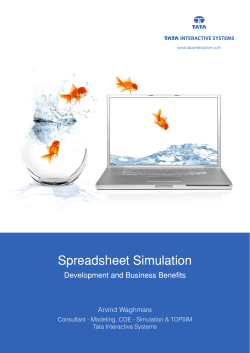 Spreadsheet Simulation - Tata Interactive Systems