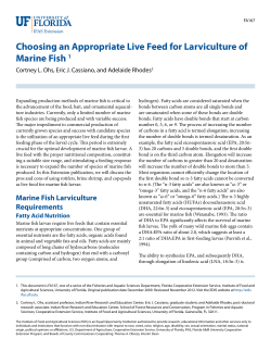 Choosing an Appropriate Live Feed for Larviculture of Marine Fish 1