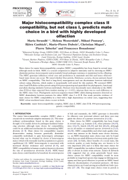 Major histocompatibility complex class II compatibility, but not class I