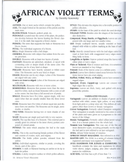 African Violet Terms - African Violet Society of America
