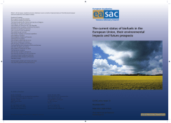 The current status of biofuels in the European Union