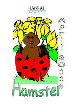 Hamster - Hannah School