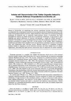 Isolation and Characterization of the Tubular Organelles Induced by