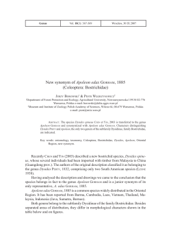 New synonym of Apoleon edax GORHAM, 1885 (Coleoptera