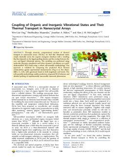Coupling of Organic and Inorganic Vibrational States and Their
