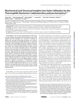 Biochemical and Structural Insights into Xylan Utilization by the