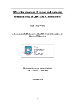 Differential response of normal and malignant urothelial cells to