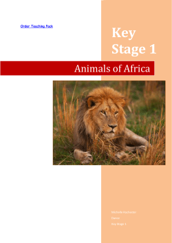 Animals of Africa