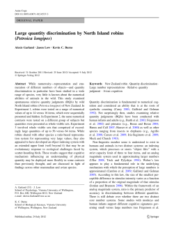 Large quantity discrimination by North Island robins