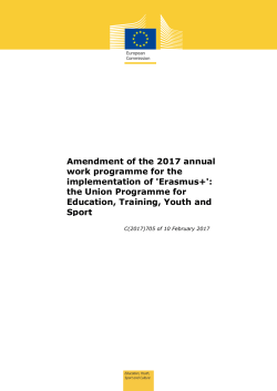 Amendment of the 2017 annual work programme for the