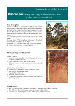 Driscoll soil&ndash; loamy over clayey soil in dolerite and minor aeolian
