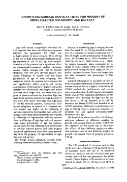 GROWTH AND CARCASS TRAITS AT 135 KG FOR PROGENY OF