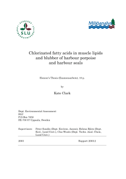 Chlorinated fatty acids in muscle lipids and blubber of harbour