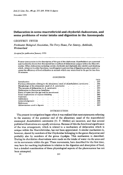 Defaecation in some macrothricid and chydorid cladocerans, and