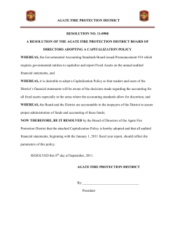 Capitalization Resolution Policy N11-0908