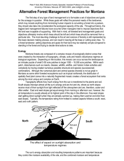 Alternative Forest Management - Montana State University Extension