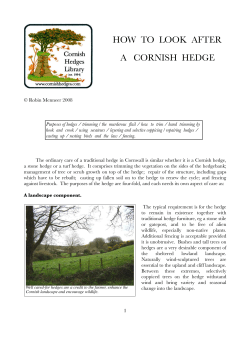 How to Look After a Cornish Hedge