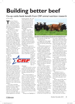 CRF Beef Oct Nov 2015 Tennessee Cooperator