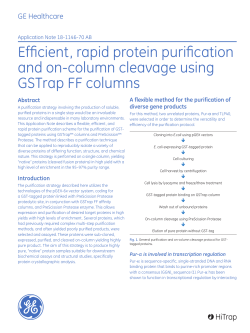 Efficient, rapid protein purification and on