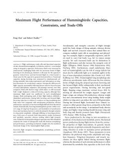 Maximum Flight Performance of Hummingbirds: Capacities