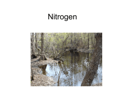 Nitrogen PowerPoint