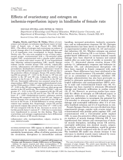 Effects of ovariectomy and estrogen on ischemia