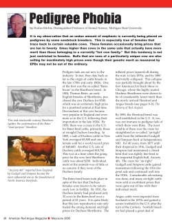 Pedigree Phobia - Red Angus Association of America