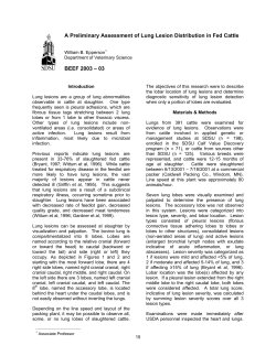 A Preliminary Assessment of Lung Lesion Distribution in Fed Cattle