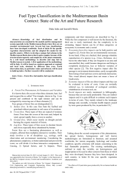 Fuel Type Classification in the Mediterranean Basin Context: State