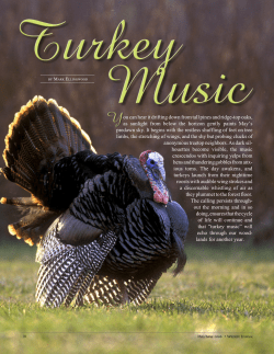 an article about turkey hunting in the NH Wildlife Journal