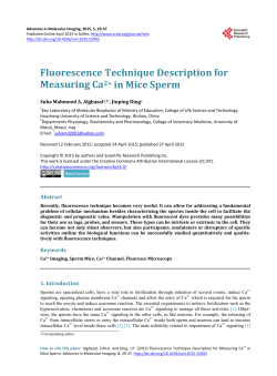 Fluorescence Technique Description for Measuring Ca2+ in Mice