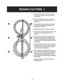 REINING PATTERN 1