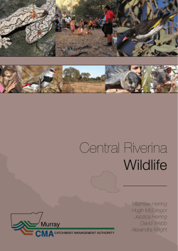 Central Riverina Wildlife