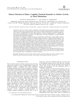 Pattern Selection in Plants: Coupling Chemical