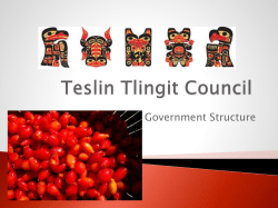 An Introduction to our Government Structure