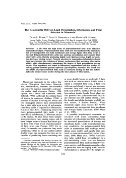 The Relationship Between Lipid Peroxidation