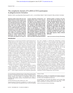 The cytoplasmic domain of Fc&gamma;RIIA (CD32