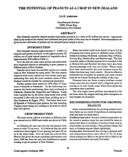 the potential of peanuts as a crop in new zealand