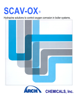 Scav-Ox&reg; Boiler Systems Information Sheet