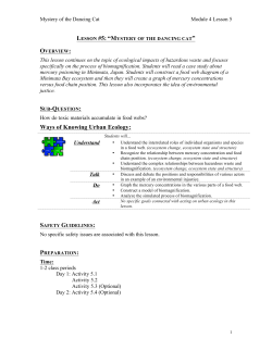 Lesson plan – Teacher