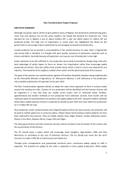 Current Rice Proposal
