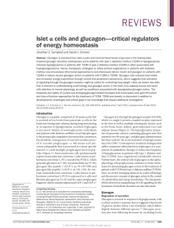 Islet α cells and glucagon—critical regulators of
