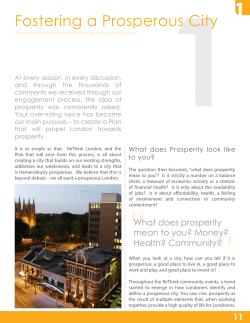 Fostering a Prosperous City