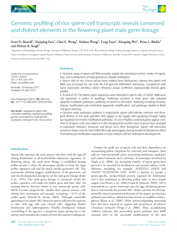 Genomic profiling of rice sperm cell transcripts reveals conserved