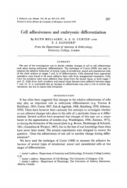 Cell adhesiveness and embryonic differentiation